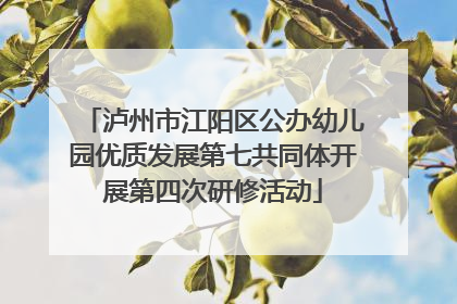 泸州市江阳区公办幼儿园优质发展第七共同体开展第四次研修活动