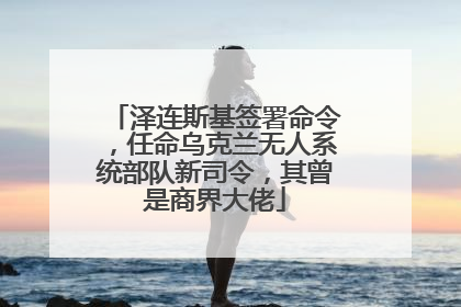 泽连斯基签署命令，任命乌克兰无人系统部队新司令，其曾是商界大佬