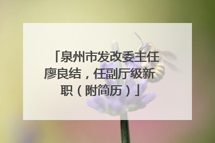 泉州市发改委主任廖良结，任副厅级新职（附简历）