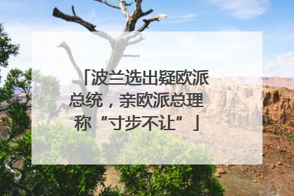 波兰选出疑欧派总统，亲欧派总理称“寸步不让”