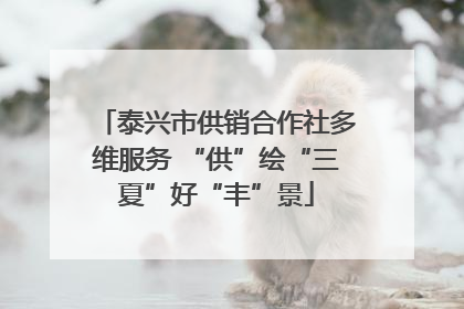 泰兴市供销合作社多维服务 “供”绘“三夏”好“丰”景