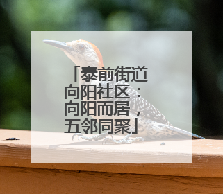 泰前街道向阳社区：向阳而居，五邻同聚