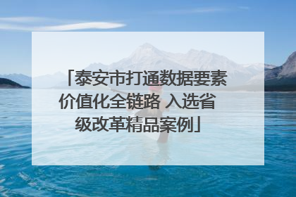 泰安市打通数据要素价值化全链路 入选省级改革精品案例