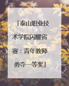 泰山职业技术学院闪耀省赛：青年教师勇夺一等奖