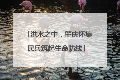 洪水之中，肇庆怀集民兵筑起生命防线