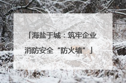 海盐于城：筑牢企业消防安全“防火墙”
