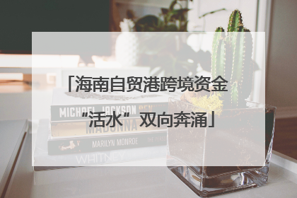 海南自贸港跨境资金“活水”双向奔涌