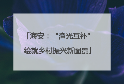 海安：“渔光互补” 绘就乡村振兴新图景