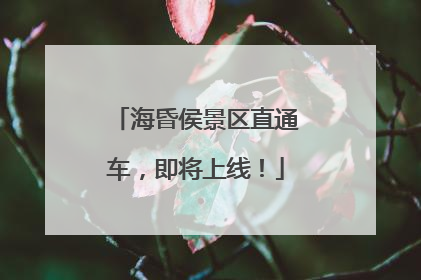 海昏侯景区直通车，即将上线！