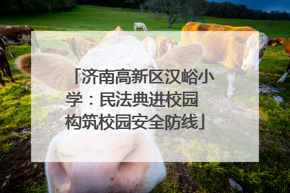 济南高新区汉峪小学：民法典进校园 构筑校园安全防线
