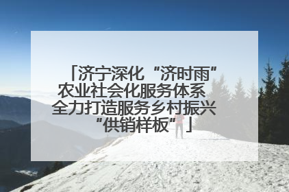 济宁深化“济时雨”农业社会化服务体系 全力打造服务乡村振兴“供销样板”