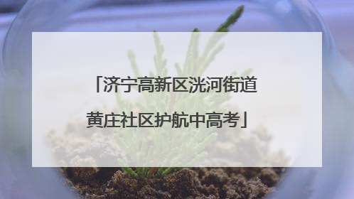 济宁高新区洸河街道黄庄社区护航中高考