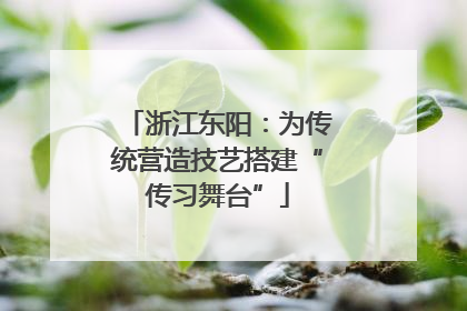 浙江东阳：为传统营造技艺搭建“传习舞台”