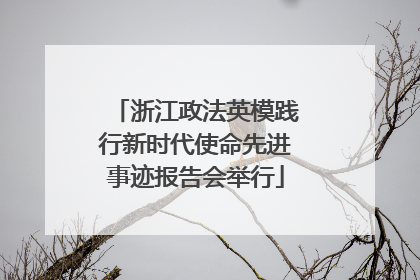 浙江政法英模践行新时代使命先进事迹报告会举行