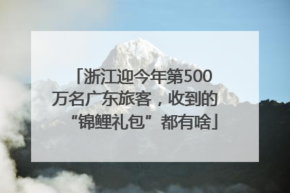 浙江迎今年第500万名广东旅客，收到的“锦鲤礼包”都有啥