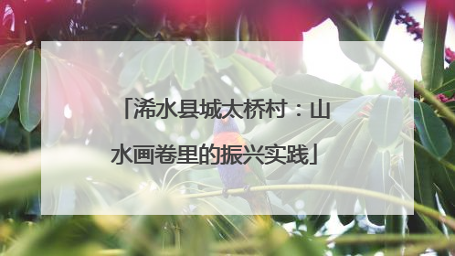 浠水县城太桥村：山水画卷里的振兴实践