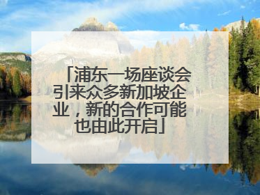 浦东一场座谈会引来众多新加坡企业，新的合作可能也由此开启