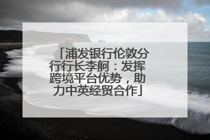 浦发银行伦敦分行行长李舸：发挥跨境平台优势，助力中英经贸合作