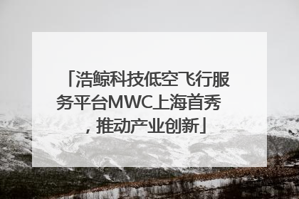 浩鲸科技低空飞行服务平台MWC上海首秀，推动产业创新