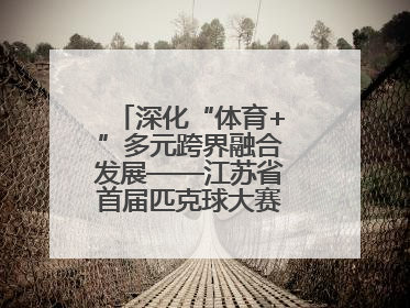 深化“体育+”多元跨界融合发展——江苏省首届匹克球大赛在无锡开赛