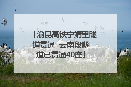 渝昆高铁宁靖里隧道贯通  云南段隧道已贯通40座
