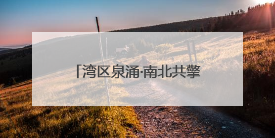湾区泉涌·南北共擎——“花楸树”杯明湖慈善公益跑成功举办