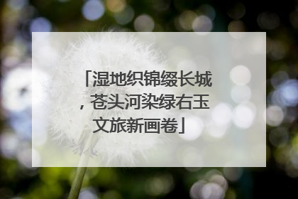 湿地织锦缀长城，苍头河染绿右玉文旅新画卷