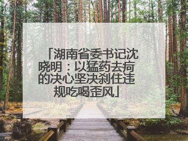 湖南省委书记沈晓明：以猛药去疴的决心坚决刹住违规吃喝歪风