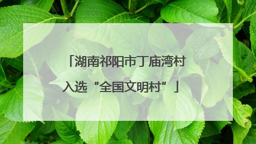 湖南祁阳市丁庙湾村入选“全国文明村”