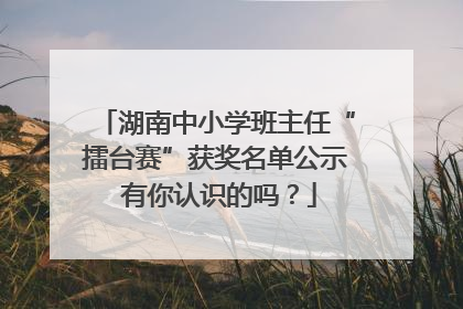 湖南中小学班主任“擂台赛”获奖名单公示 有你认识的吗？
