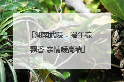 湖南武陵：端午粽飘香 亲情暖高墙