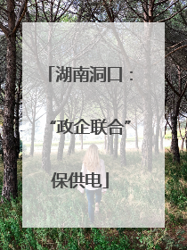 湖南洞口：“政企联合”保供电