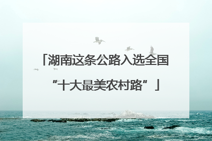 湖南这条公路入选全国“十大最美农村路”