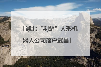 湖北“荆楚”人形机器人公司落户武昌