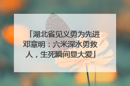 湖北省见义勇为先进邓章明：六米深水勇救人，生死瞬间显大爱