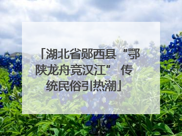 湖北省郧西县“鄂陕龙舟竞汉江” 传统民俗引热潮
