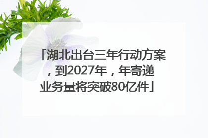 湖北出台三年行动方案，到2027年，年寄递业务量将突破80亿件