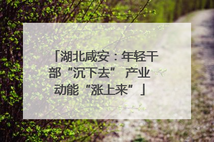 湖北咸安：年轻干部“沉下去” 产业动能“涨上来”