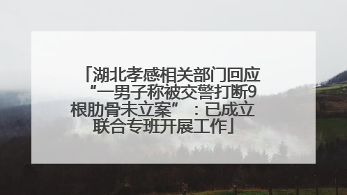 湖北孝感相关部门回应“一男子称被交警打断9根肋骨未立案”：已成立联合专班开展工作