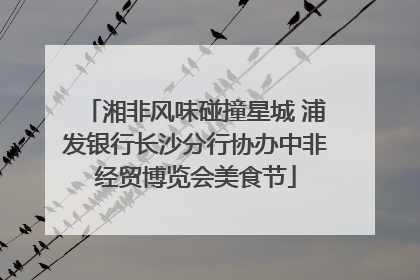 湘非风味碰撞星城 浦发银行长沙分行协办中非经贸博览会美食节