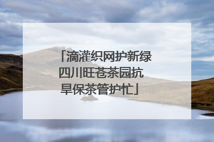 滴灌织网护新绿 四川旺苍茶园抗旱保茶管护忙