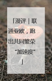 漫评｜联通亚欧，跑出共同繁荣“加速度”