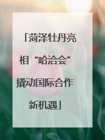 菏泽牡丹亮相“哈洽会”撬动国际合作新机遇