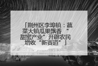 荆州区李埠镇：蔬菜大镇瓜果飘香 “甜蜜产业”开辟农民增收“新赛道”