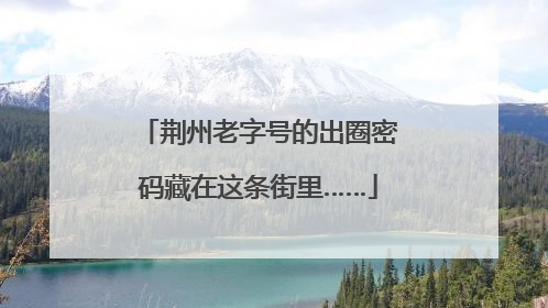 荆州老字号的出圈密码藏在这条街里……