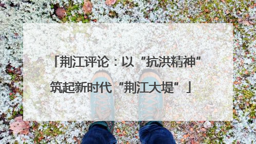 荆江评论：以“抗洪精神”筑起新时代“荆江大堤”
