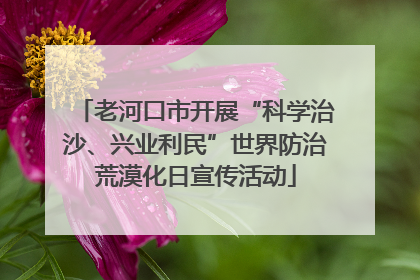 老河口市开展“科学治沙、兴业利民”世界防治荒漠化日宣传活动