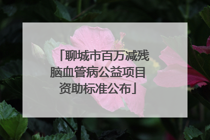 聊城市百万减残脑血管病公益项目资助标准公布