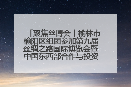 聚焦丝博会丨榆林市榆阳区组团参加第九届丝绸之路国际博览会暨中国东西部合作与投资贸易洽谈会