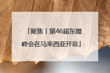 聚焦丨第46届东盟峰会在马来西亚开幕